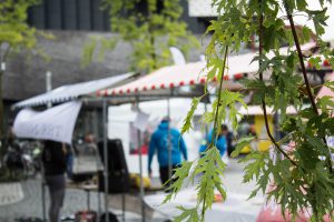 van hanswijk marktkramen utrecht